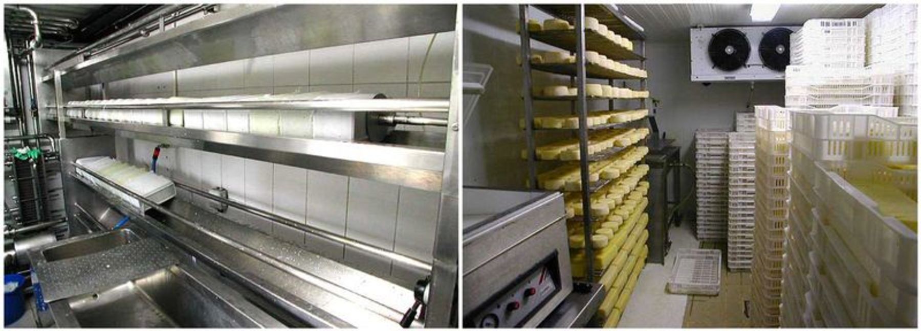 Queso Vidiago Collera