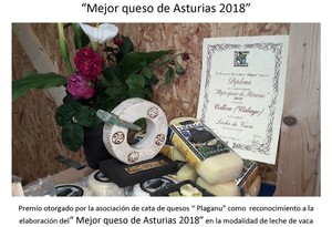 Quienes somos
